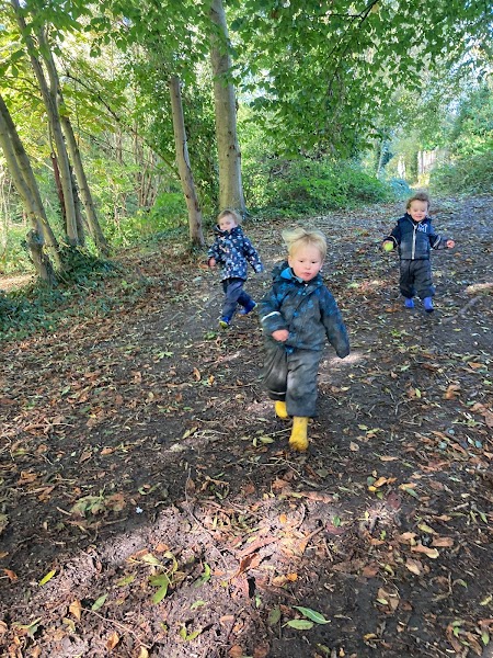 Annie & Co Nursery and Forest School (Early Years Learning Ltd) gallery image 3