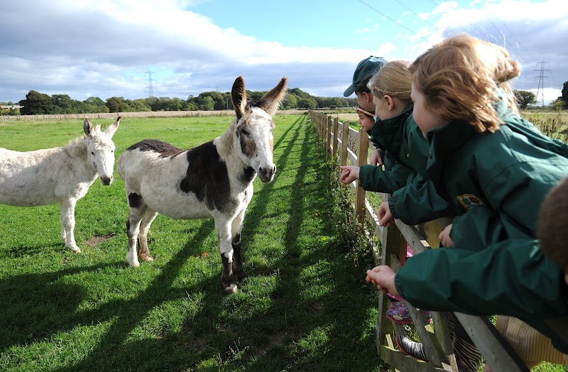 Ashbridge Independent School gallery image 4