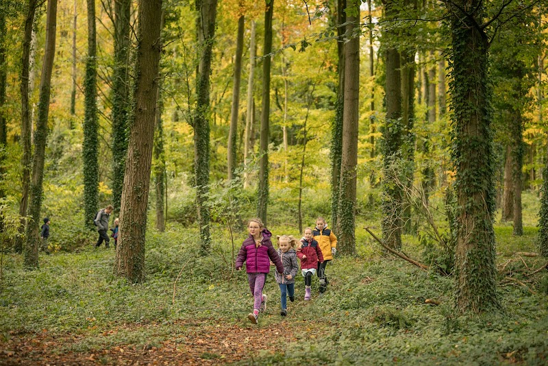 Chichester Forest School CIC