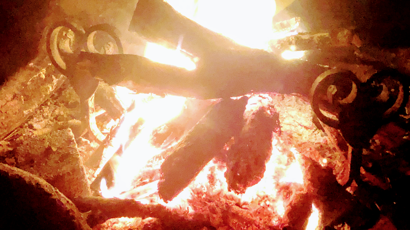 Dorset Forest School