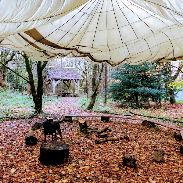 Dorset Forest School gallery image 2