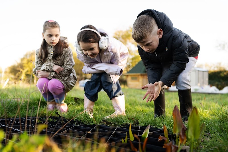Forever Green Forest School gallery image 2