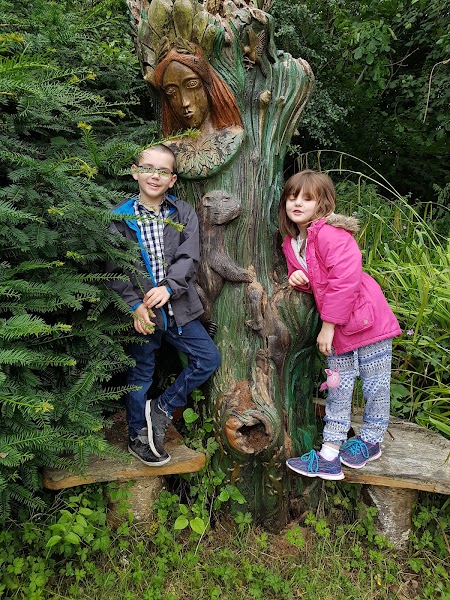 Scotswood Garden gallery image 3