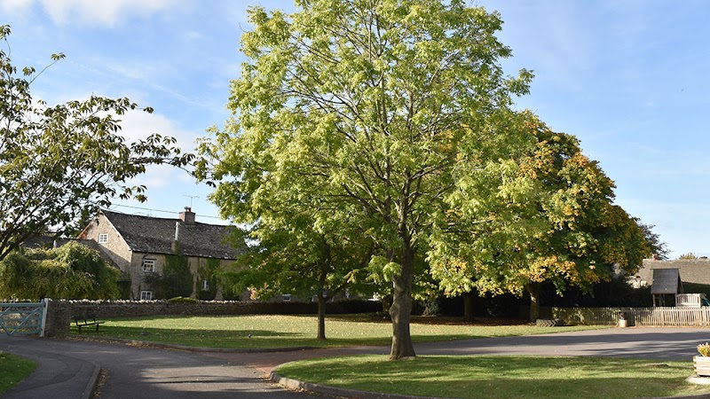 Stonesfield Primary School gallery image 2