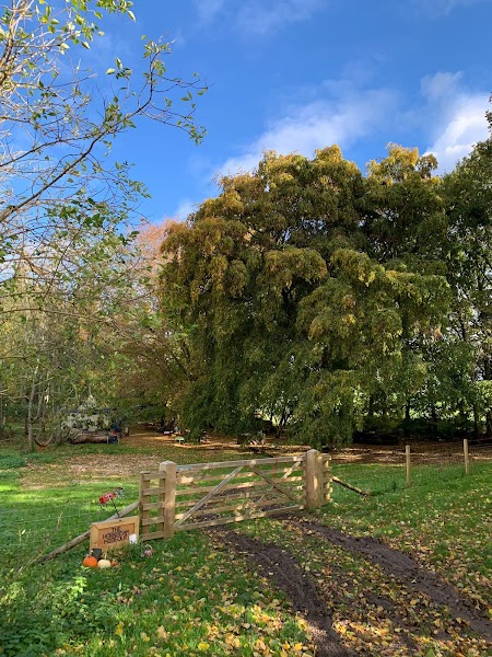The Hornbeam Hideout CIC