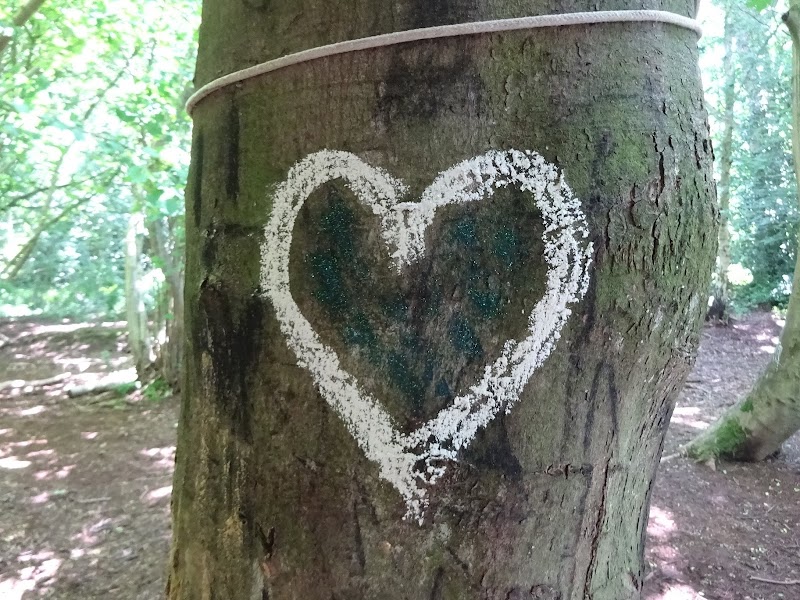 Wheatfen Forest School CIC gallery image 3