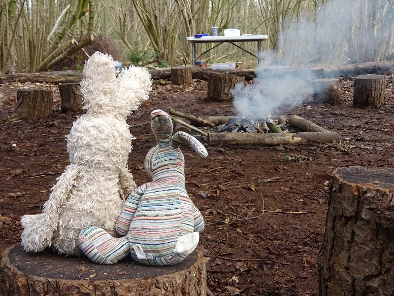 Wheatfen Forest School CIC gallery image 2