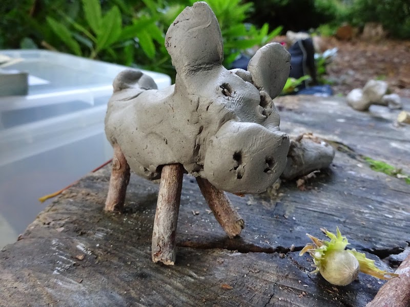 Wheatfen Forest School CIC gallery image 4