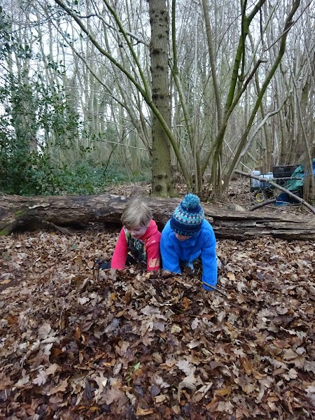Wheatfen Forest School CIC gallery image 5