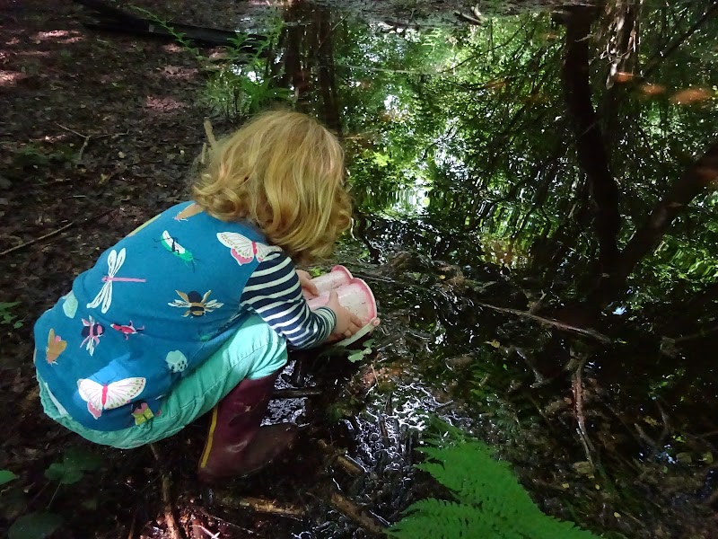 Wheatfen Forest School CIC