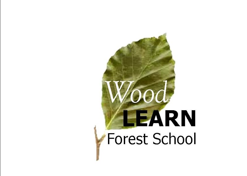 Wood Learn Forest School Ltd