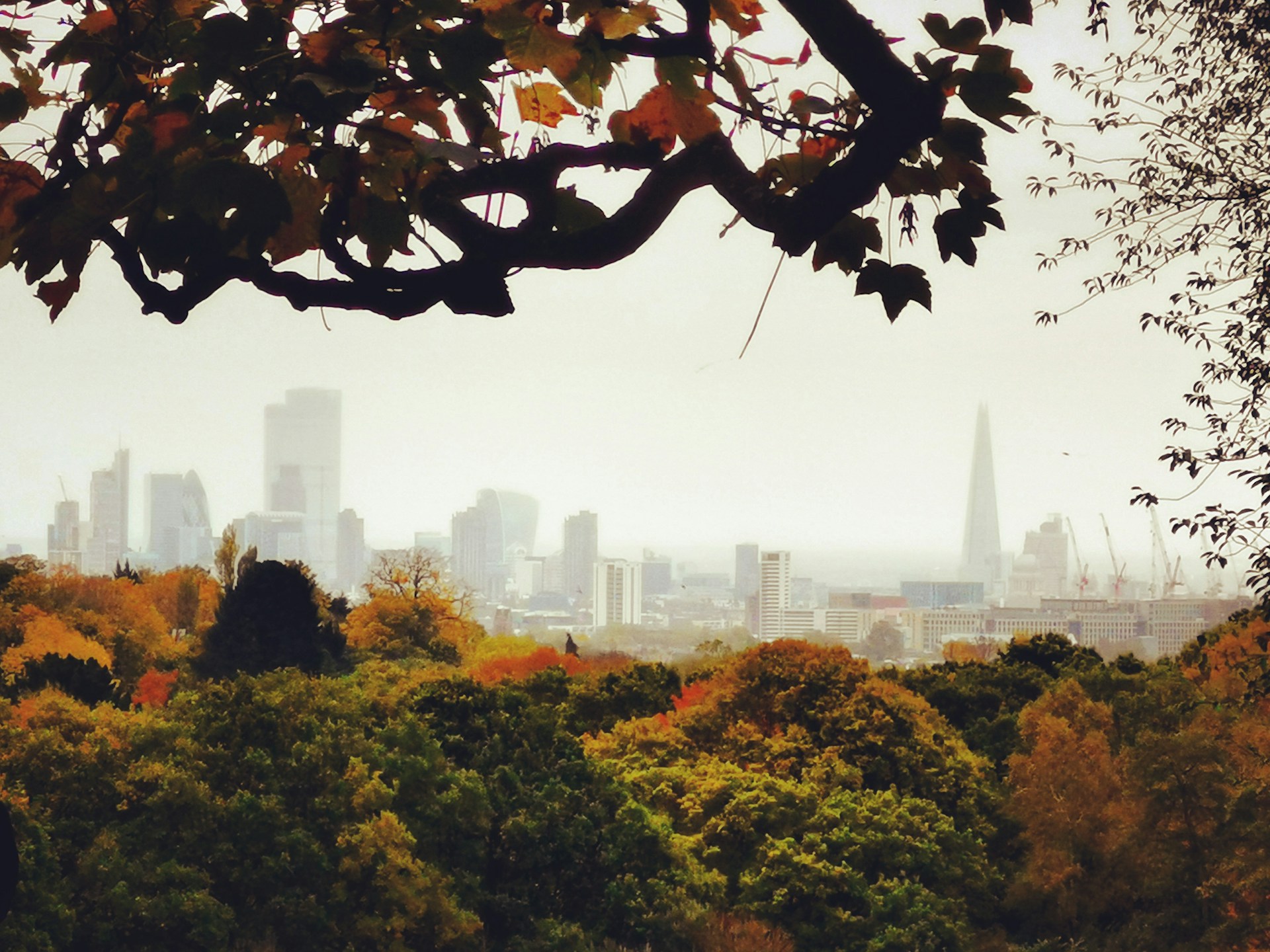 Forest Schools in London
